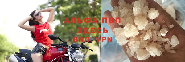 гидра Алексеевка