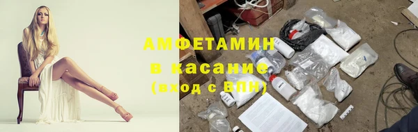 гидра Алексеевка