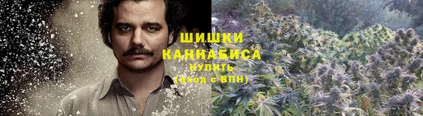гидра Алексеевка