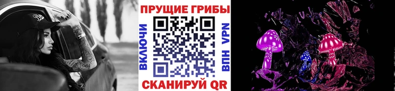 Псилоцибиновые грибы Psilocybine cubensis Дзержинск
